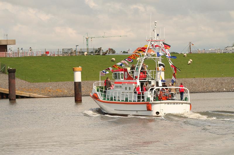 09_NZ-2011-003 Bild0140.JPG